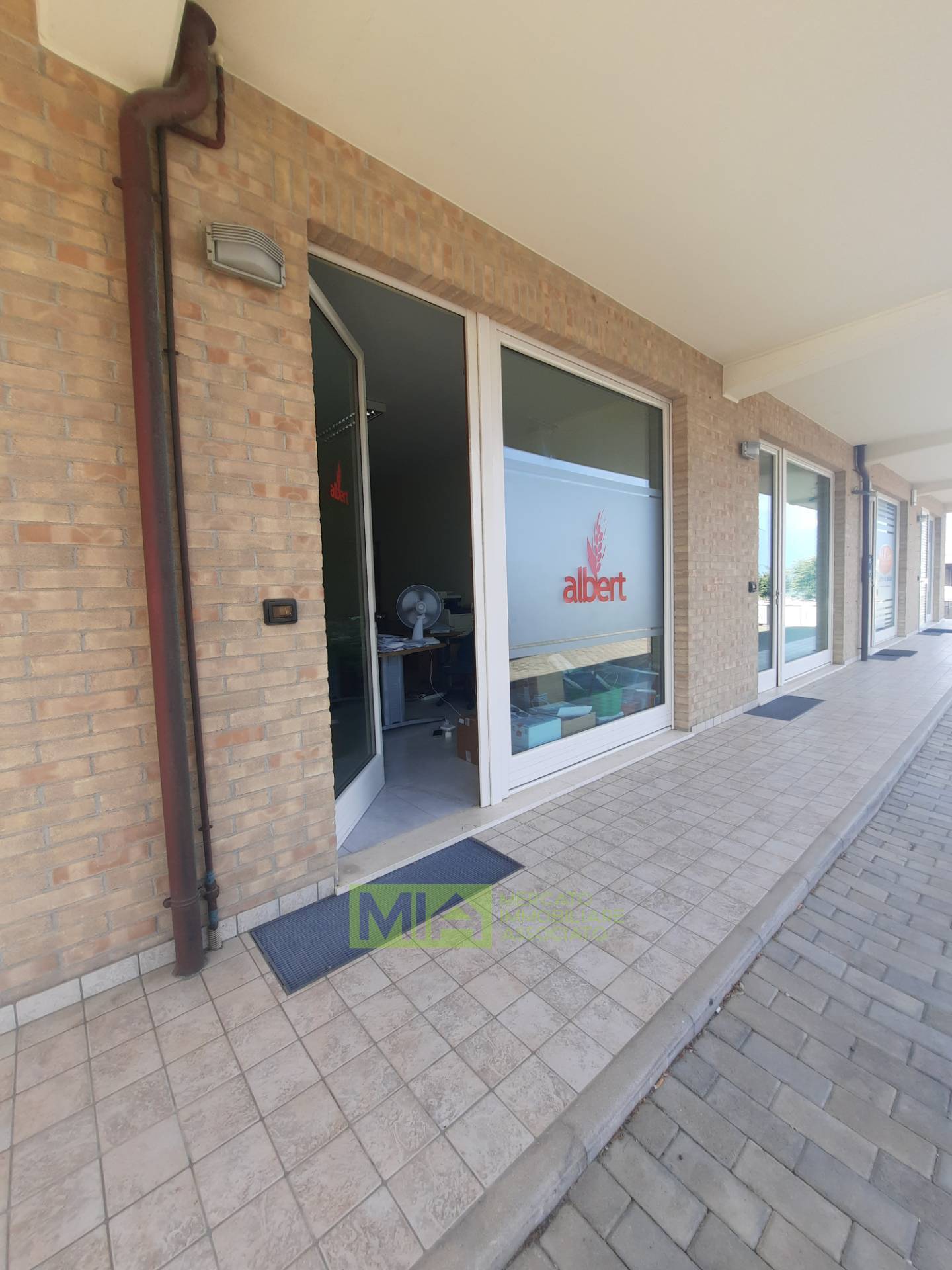 immagine annuncio 3 di 7