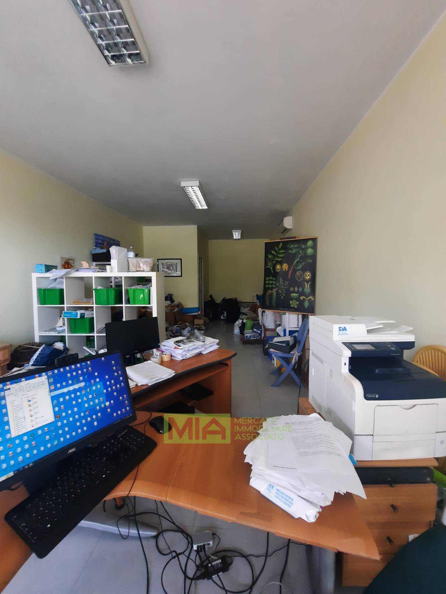 immagine annuncio 5 di 7