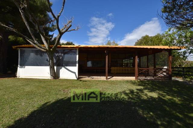 Attivita' in vendita a Pedaso, Campagna