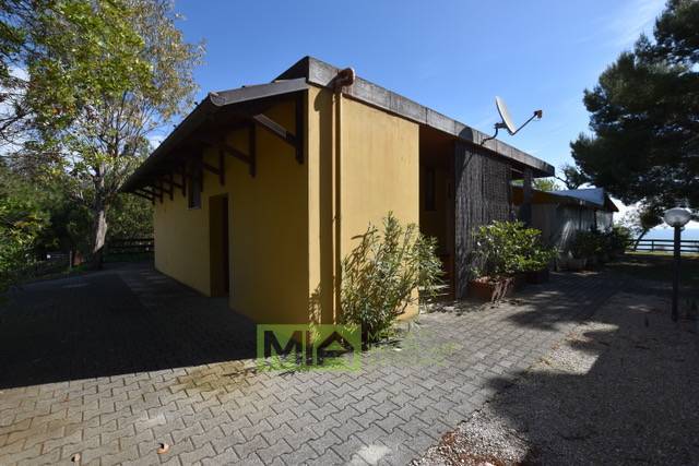 Attivita' in vendita a Pedaso, Campagna