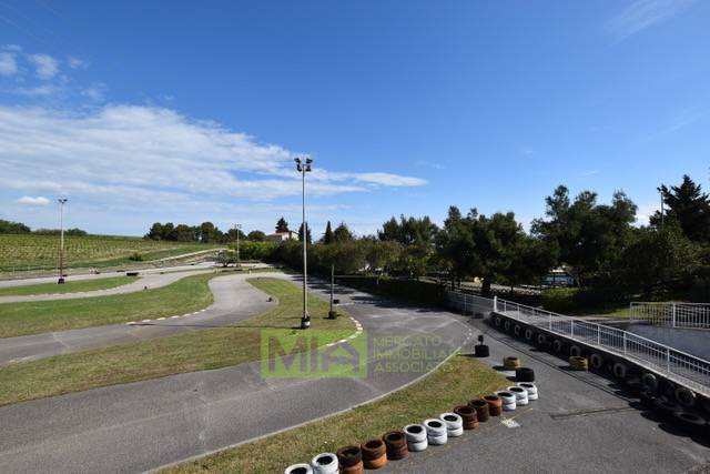 Attivita' in vendita a Pedaso, Campagna