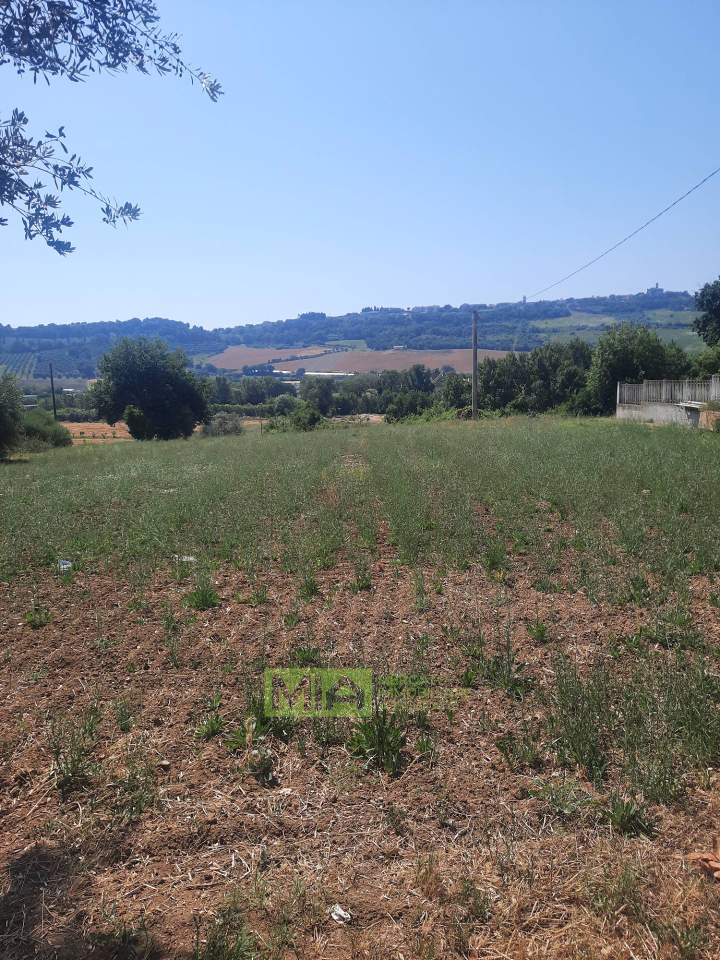 Terreno Agricolo in vendita a Altidona, Marina di Altidona