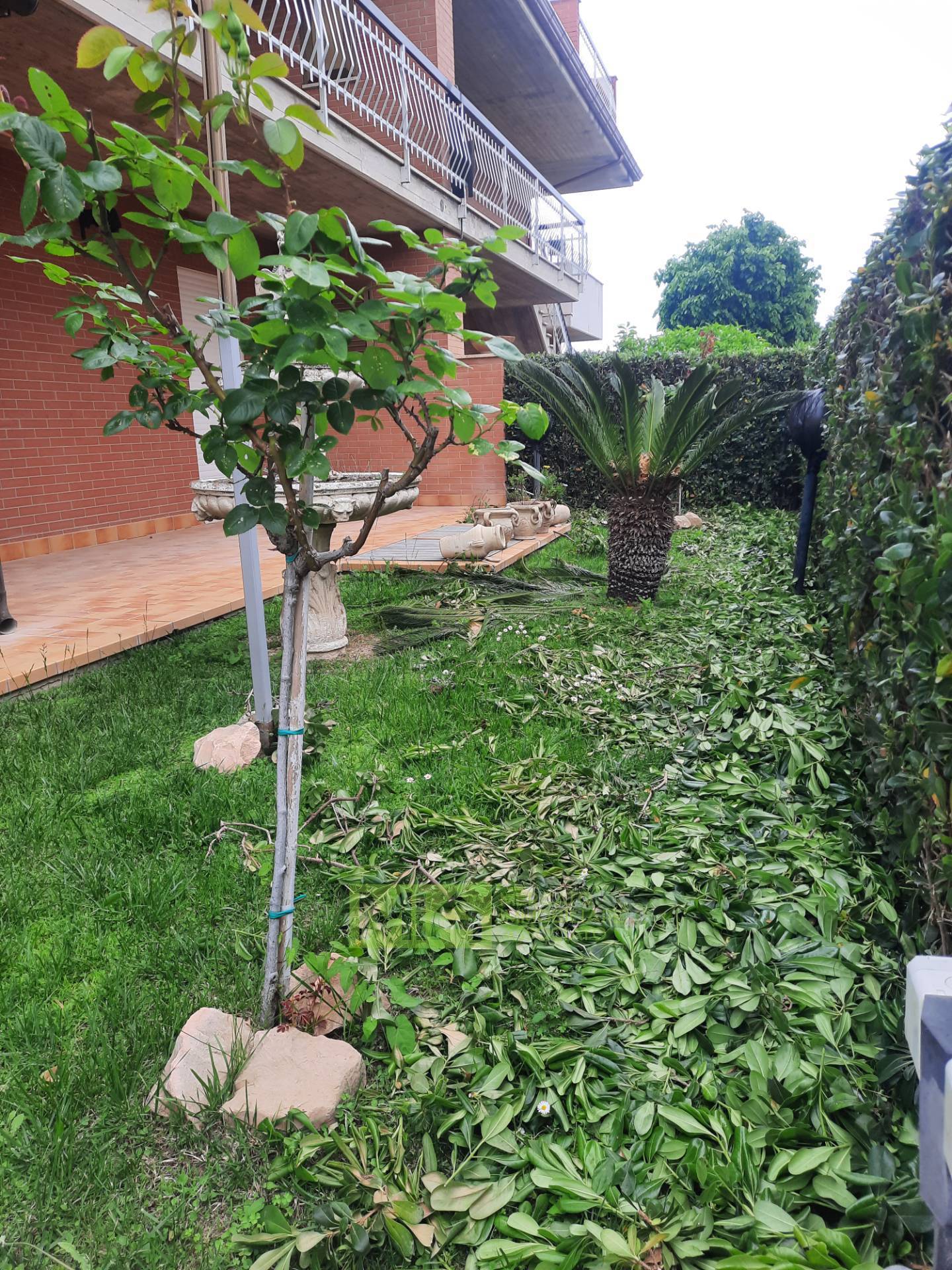 Appartamento in vendita a Altidona, Marina di Altidona