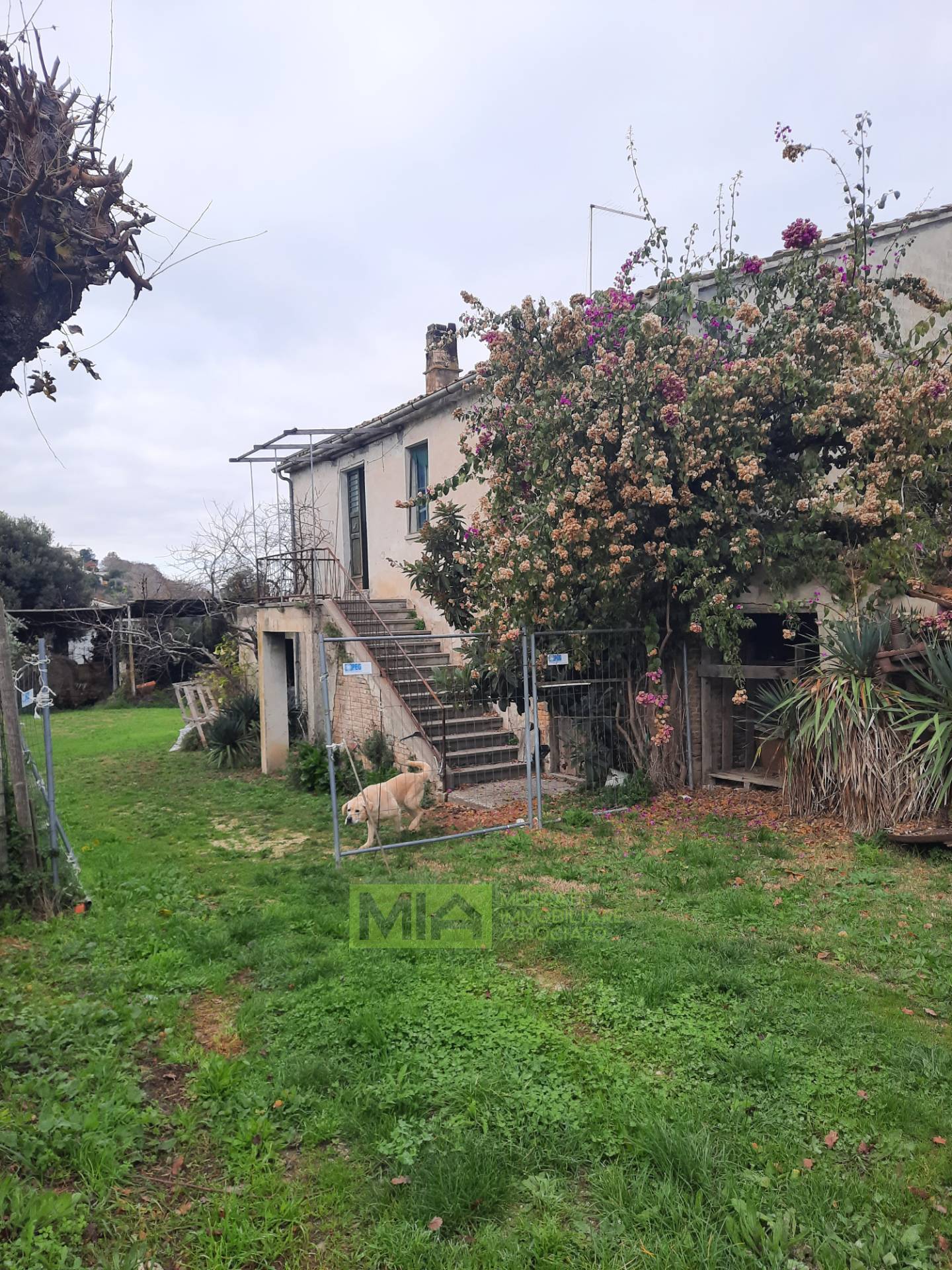 Casa colonica in vendita a Altidona, Campagna