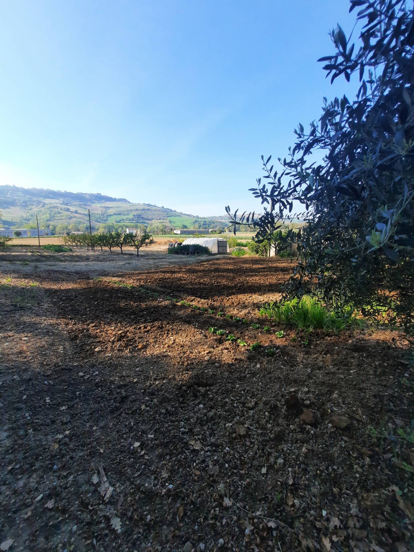 Casa singola in vendita a Moresco, Collina