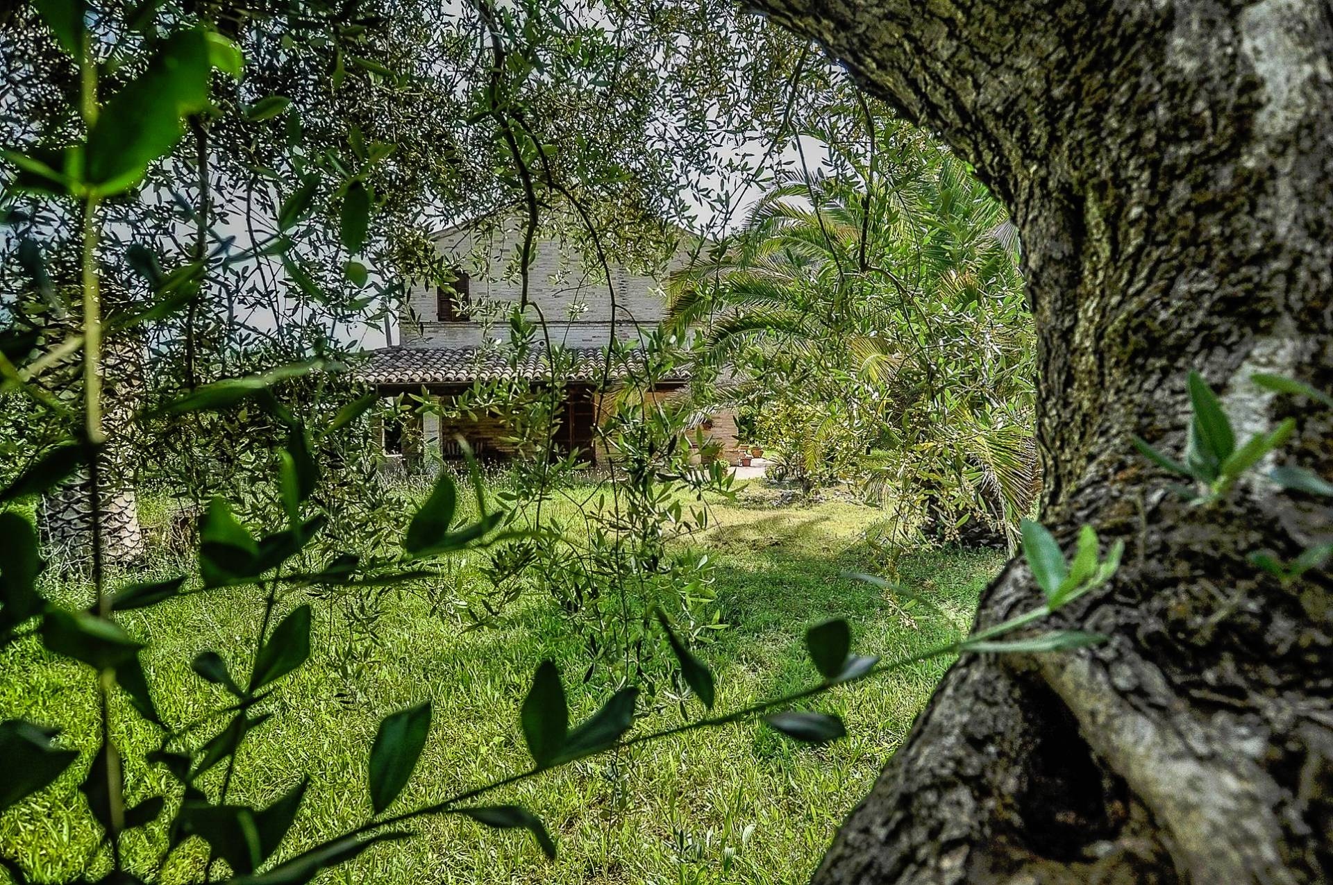 Casa colonica in vendita a Altidona, Campagna