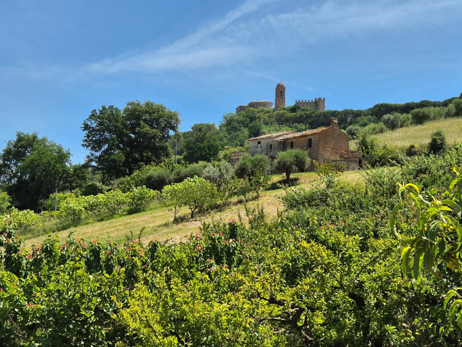 Casa colonica in vendita a Campofilone, Campagna