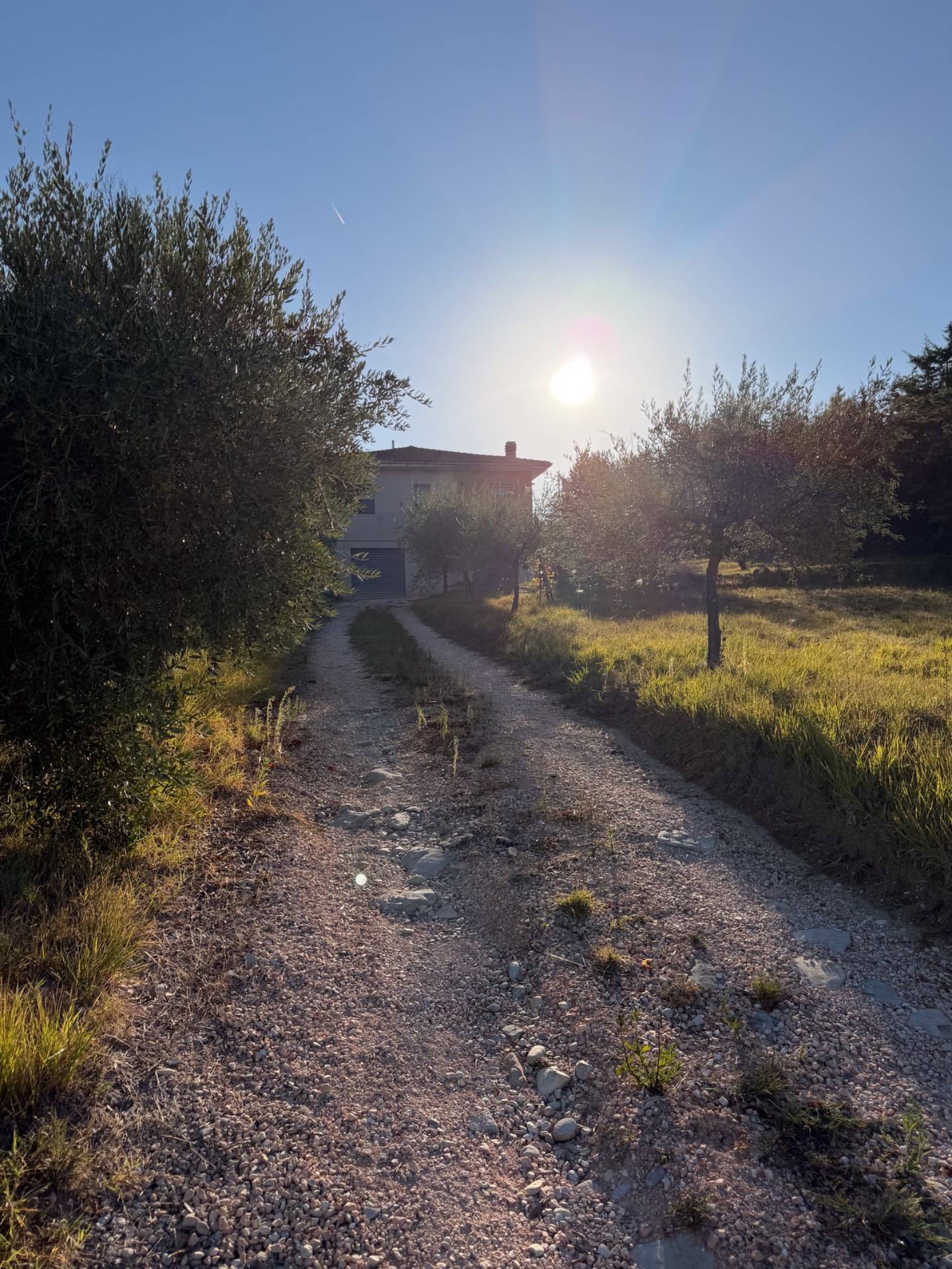 Casa singola in vendita a Santa Vittoria in Matenano
