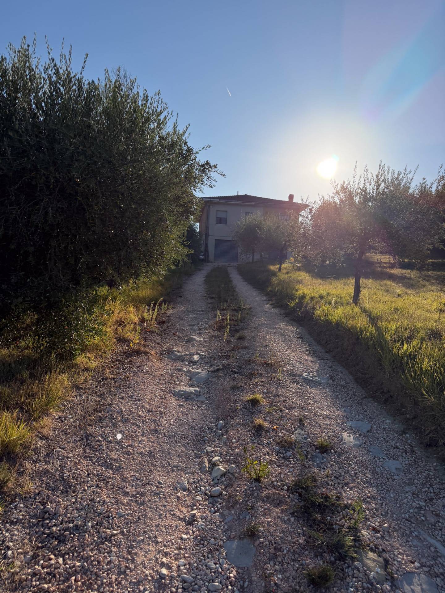 Casa singola in vendita a Santa Vittoria in Matenano