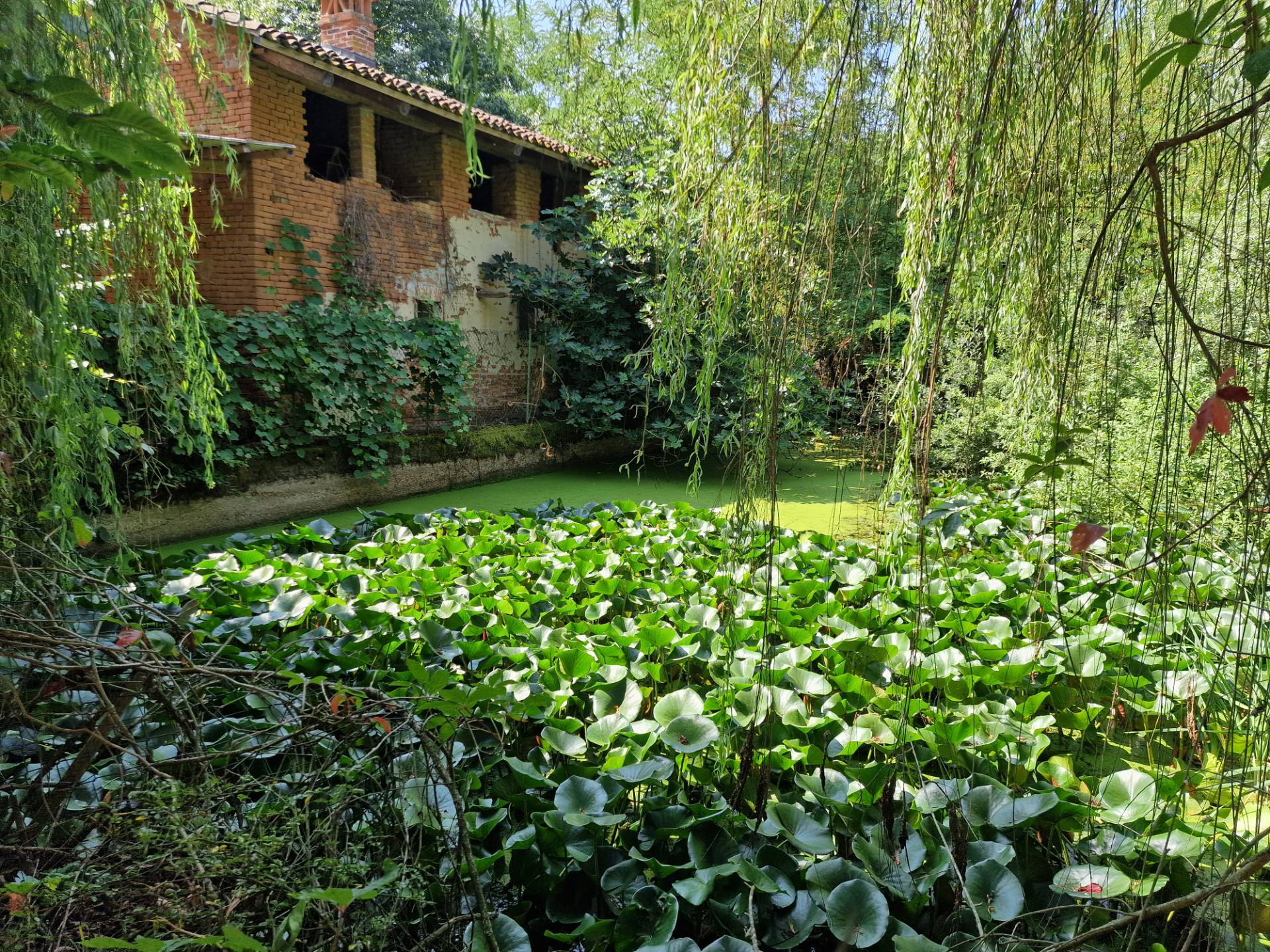 Rustico in vendita a Bra