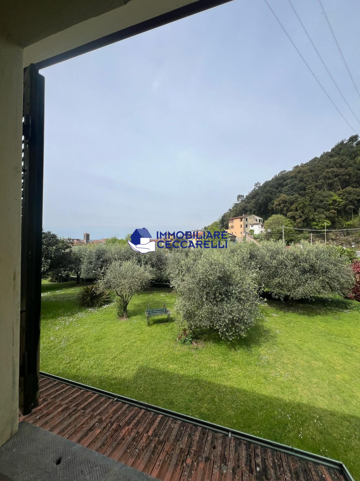 immagine annuncio 4 di 6