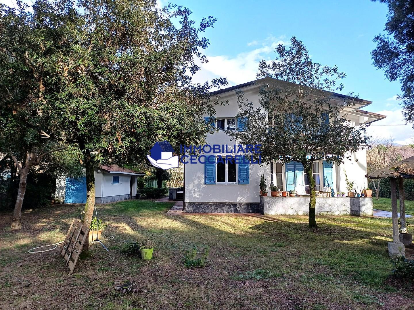 immagine annuncio 4 di 6