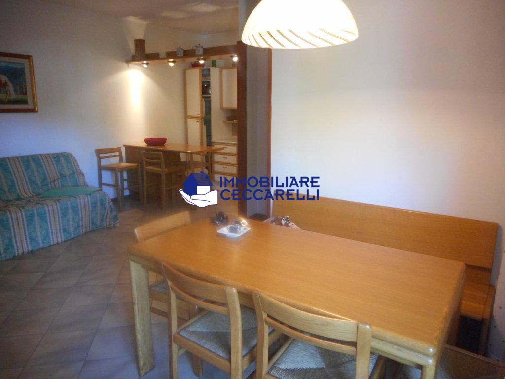 Trilocale arredato in affitto, Massa ronchi