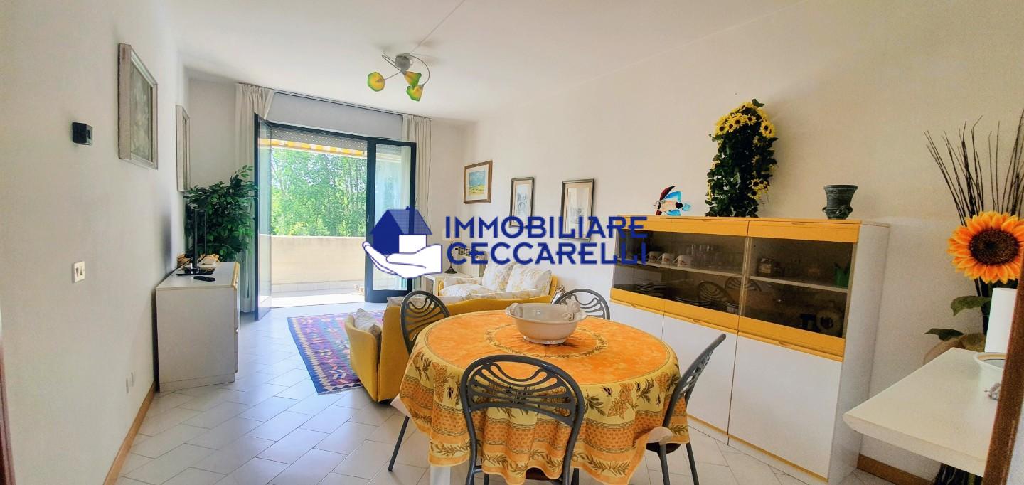 Trilocale arredato in affitto, Massa ronchi