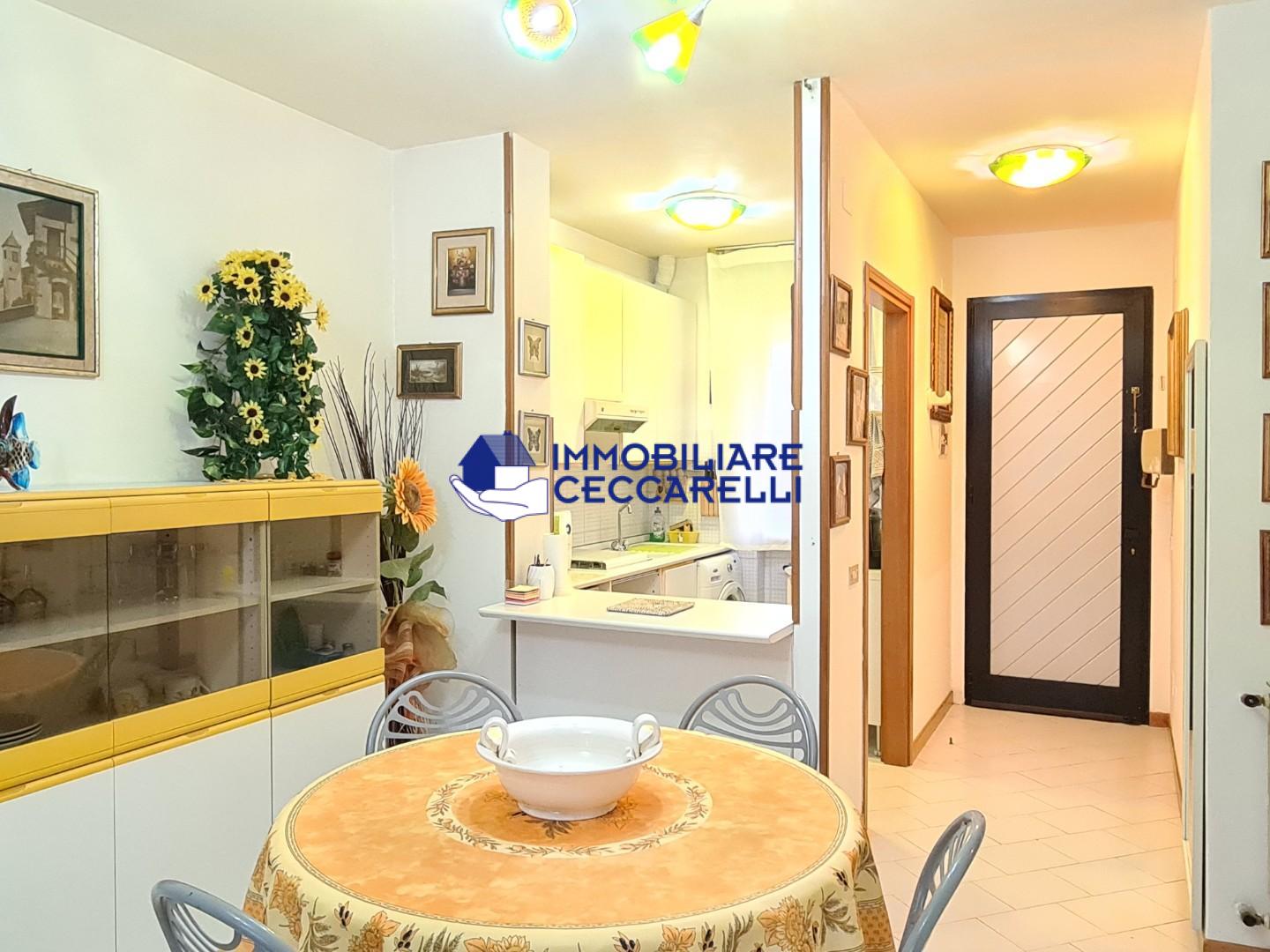 Trilocale arredato in affitto, Massa ronchi