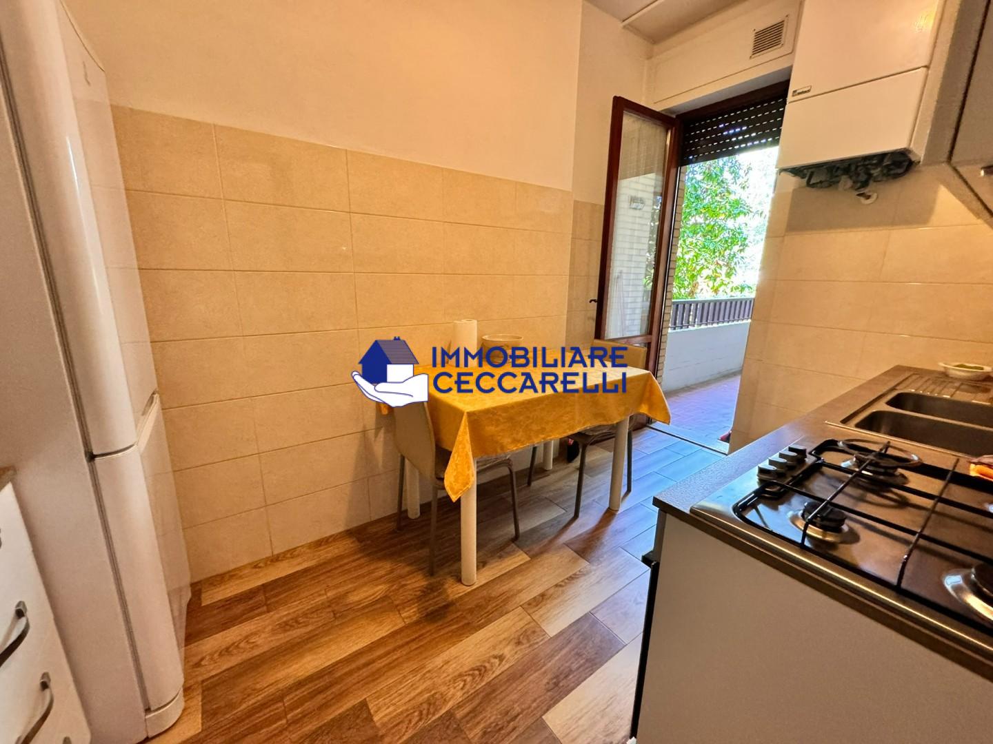 Appartamento in vendita, Massa ronchi