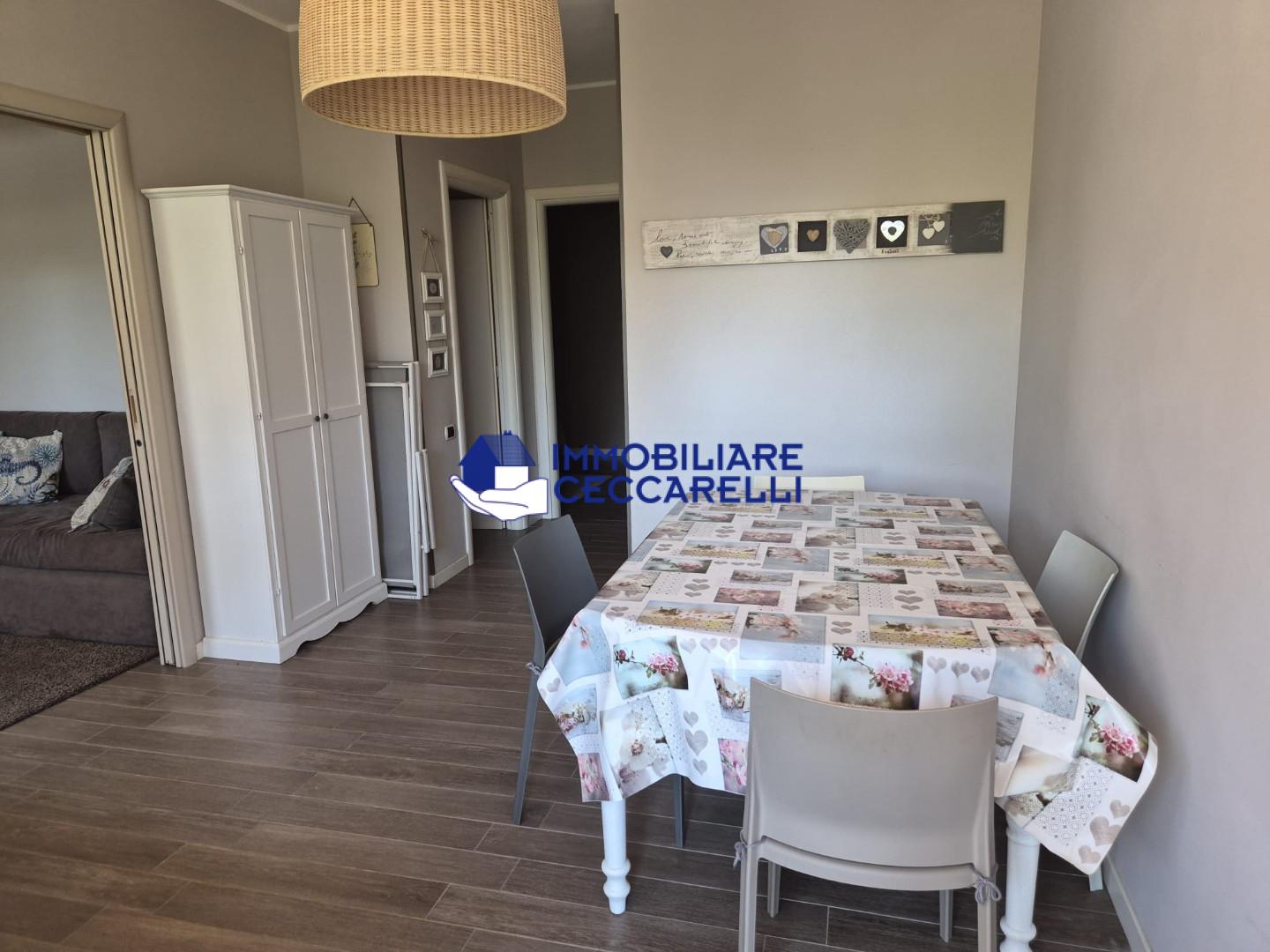 Bilocale arredato in affitto, Massa ronchi