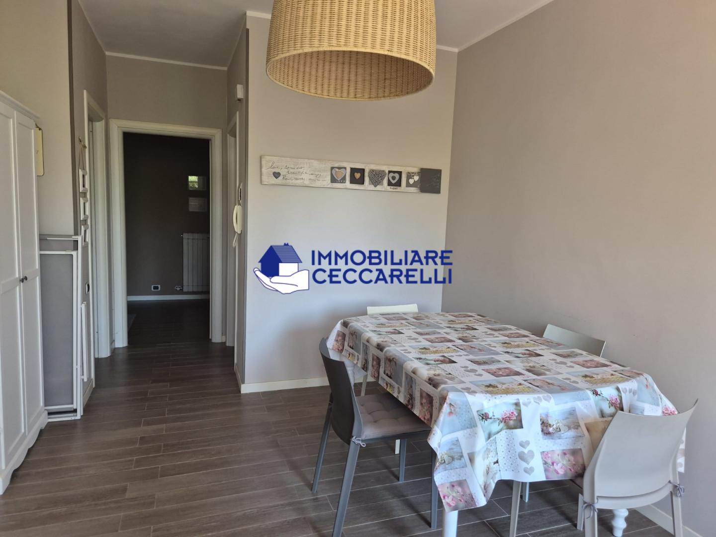 Bilocale arredato in affitto, Massa ronchi