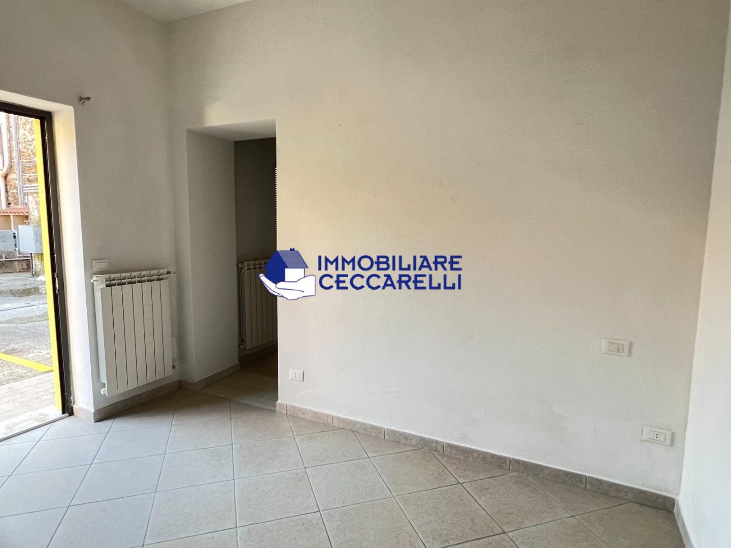 Trilocale in vendita a Massa