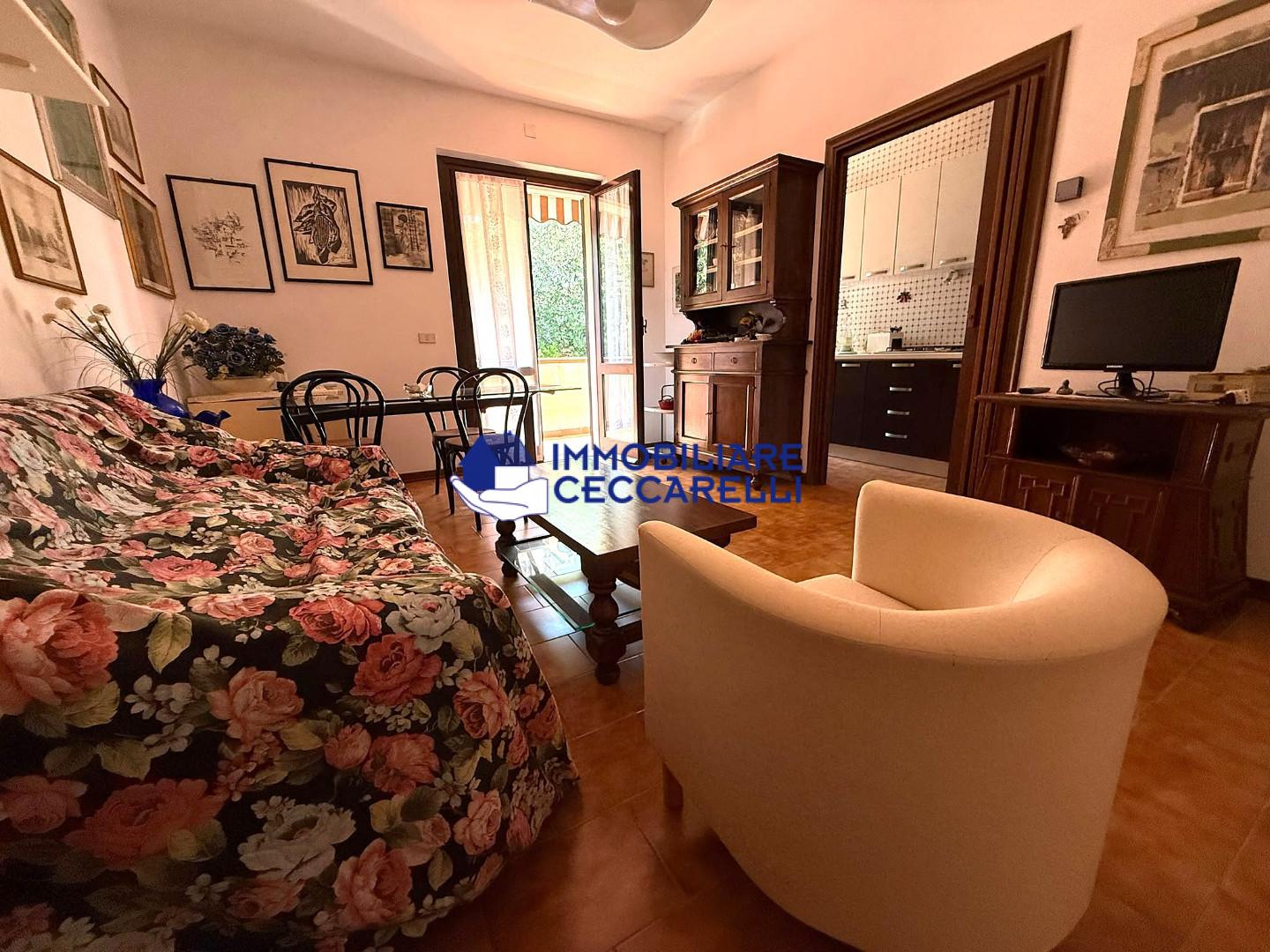 Appartamento in vendita, Massa ronchi