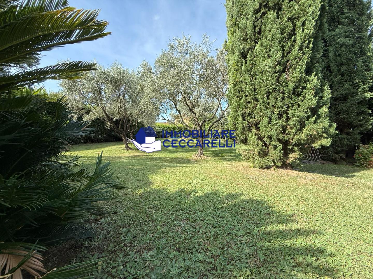 Villa con giardino, Massa mirteto