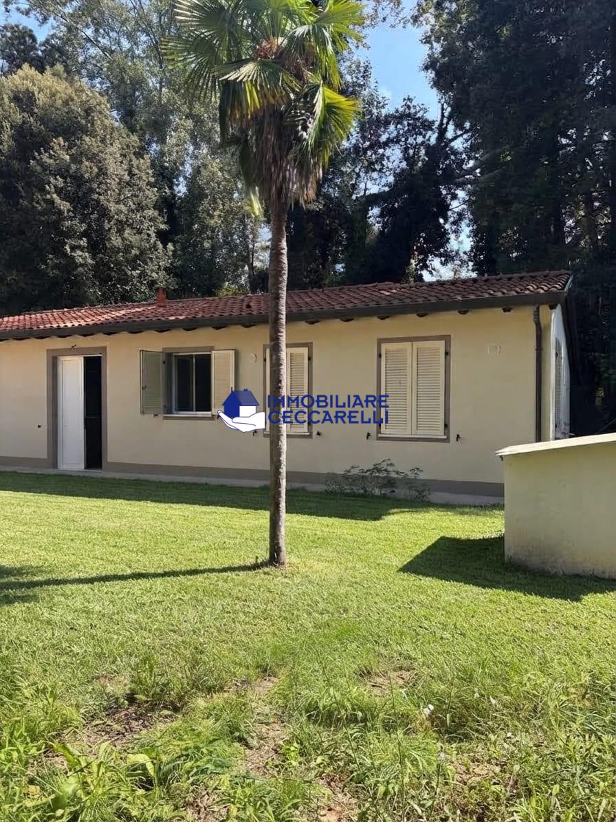 Casa indipendente ristrutturata, Massa ronchi