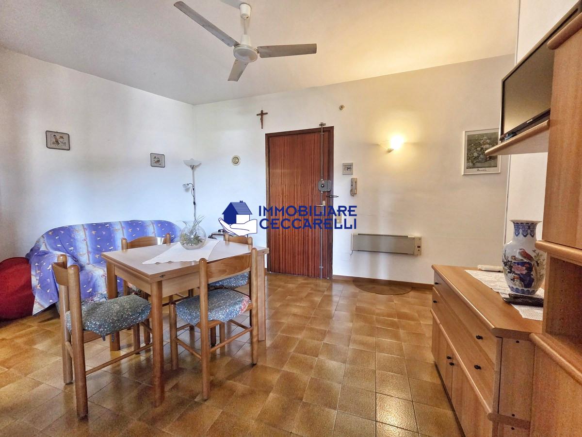 Appartamento – Massa, Ronchi - Vista 5