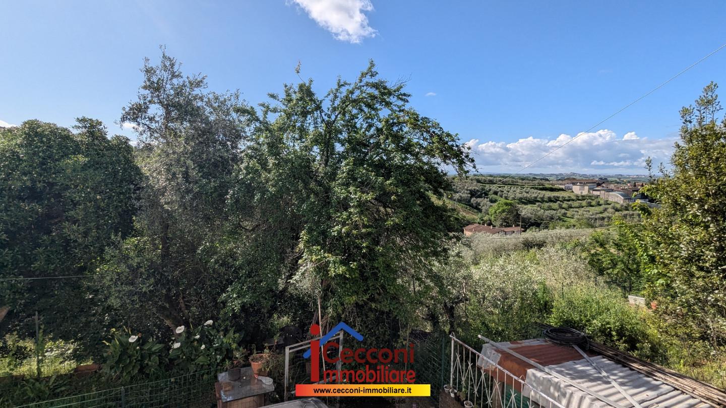 immagine annuncio 3 di 6