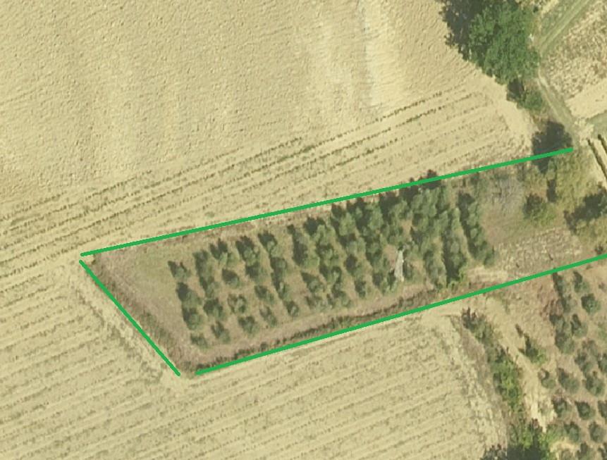 Terreno Agricolo in vendita a Cerreto Guidi