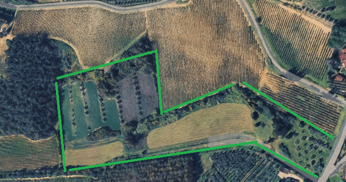 Terreno Agricolo in vendita a Cerreto Guidi