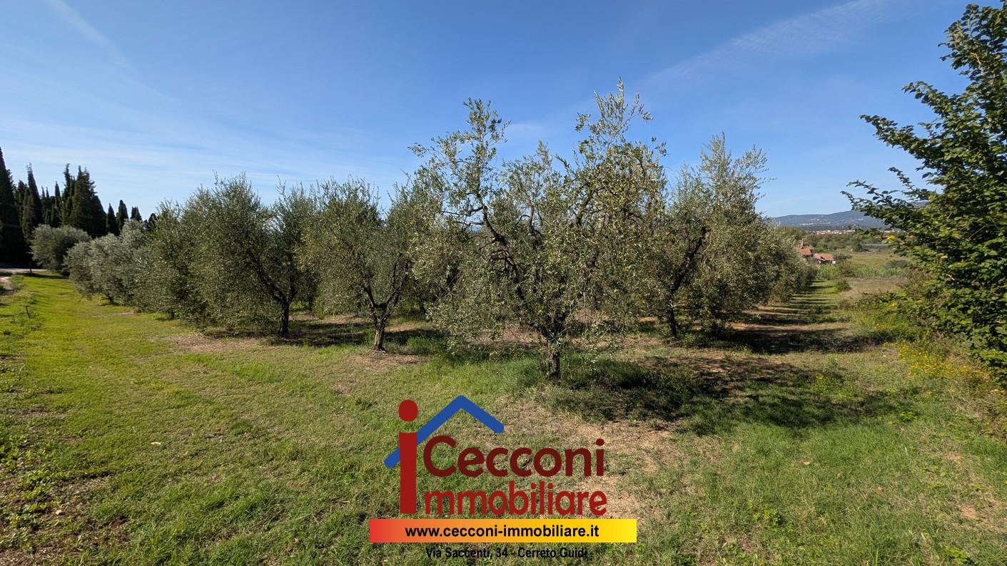 Terreno Agricolo in vendita a Empoli