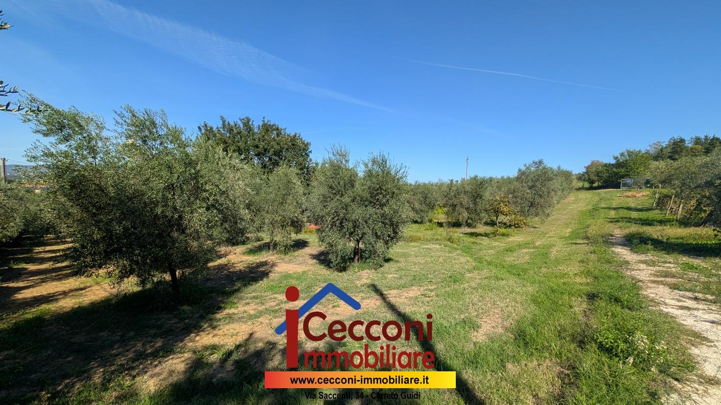 Terreno Agricolo in vendita a Empoli
