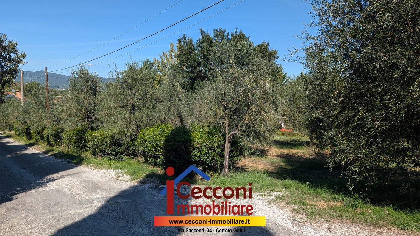 Terreno Agricolo in vendita a Empoli