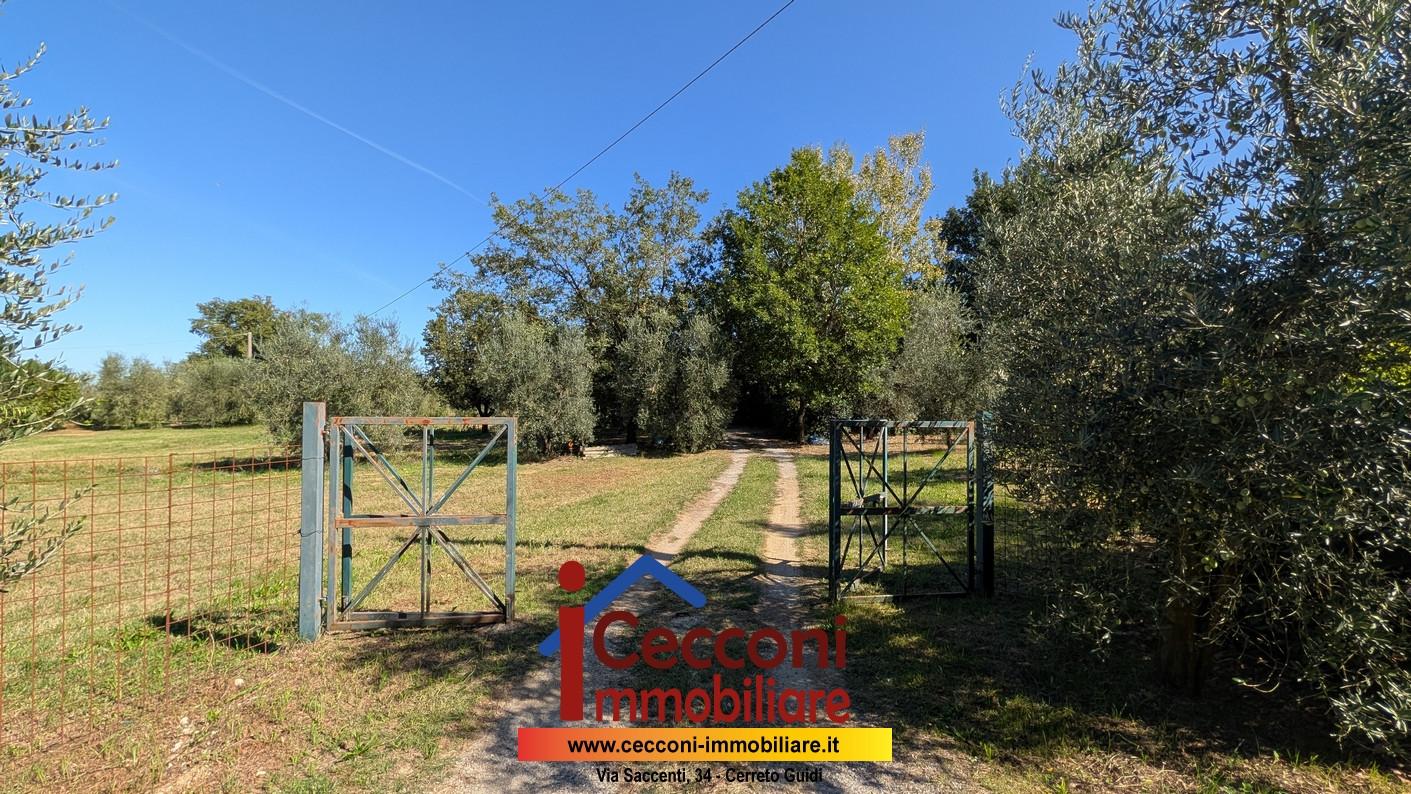 Terreno Agricolo in vendita a Empoli