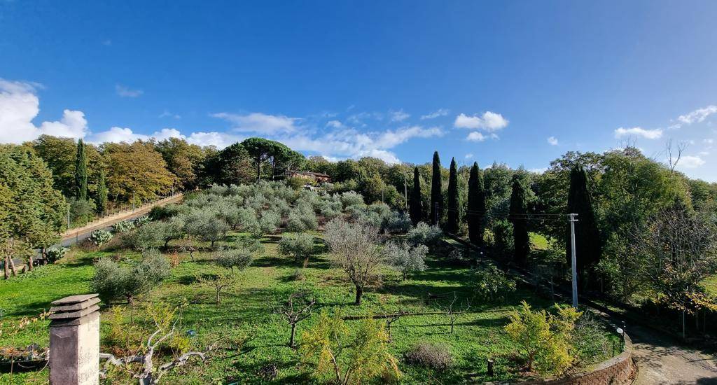 Casa Indipendente in vendita a Trevignano Romano