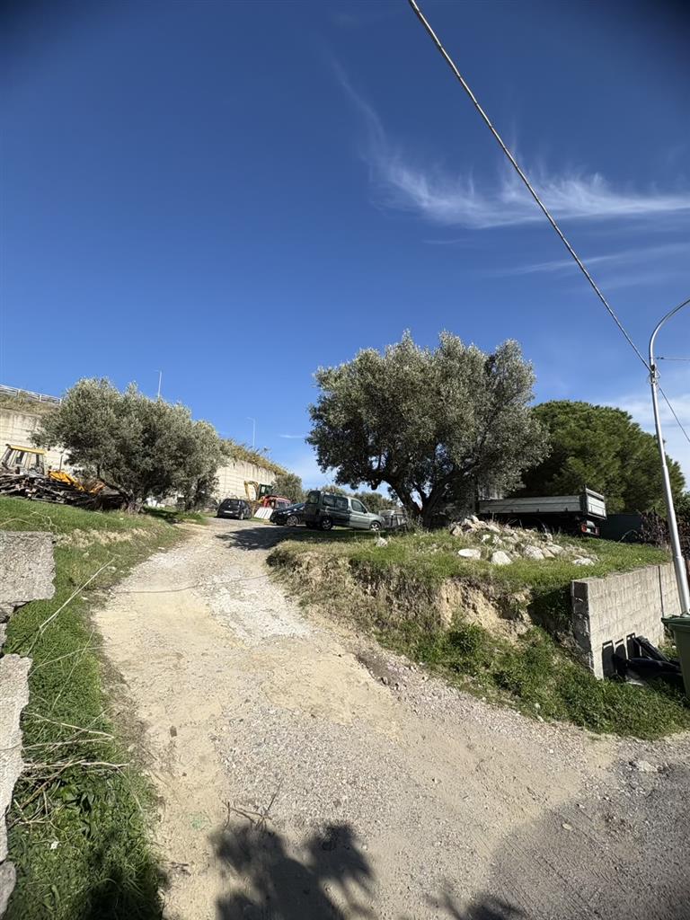 Terreno Commerciale in vendita in via dei tulipani, Catanzaro
