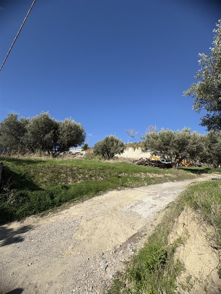 Terreno Commerciale in vendita in via dei tulipani, Catanzaro