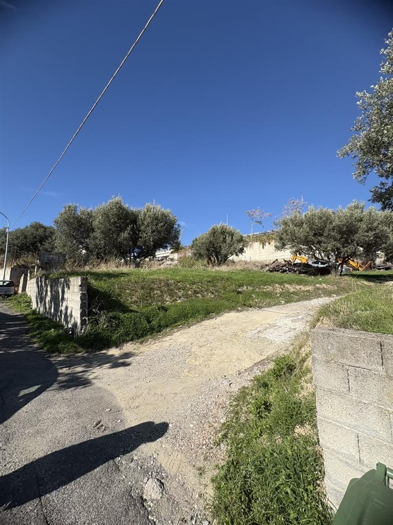 Terreno Commerciale in vendita in via dei tulipani, Catanzaro