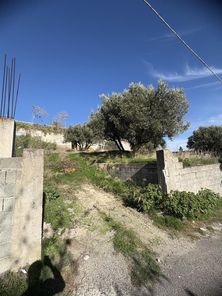 Terreno Commerciale in vendita in via dei tulipani, Catanzaro