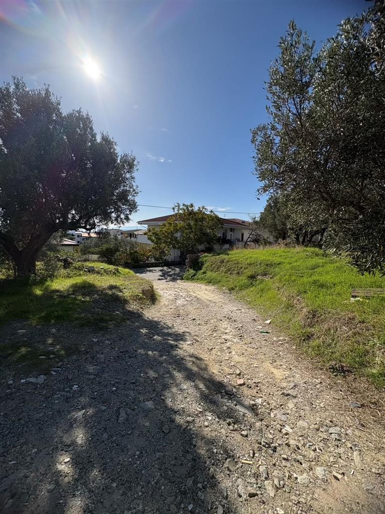 Terreno Commerciale in vendita in via dei tulipani, Catanzaro
