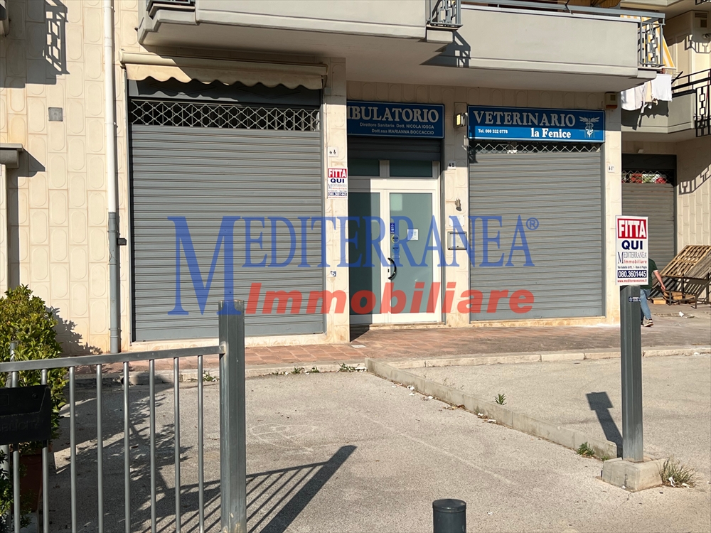 immagine annuncio 3 di 6