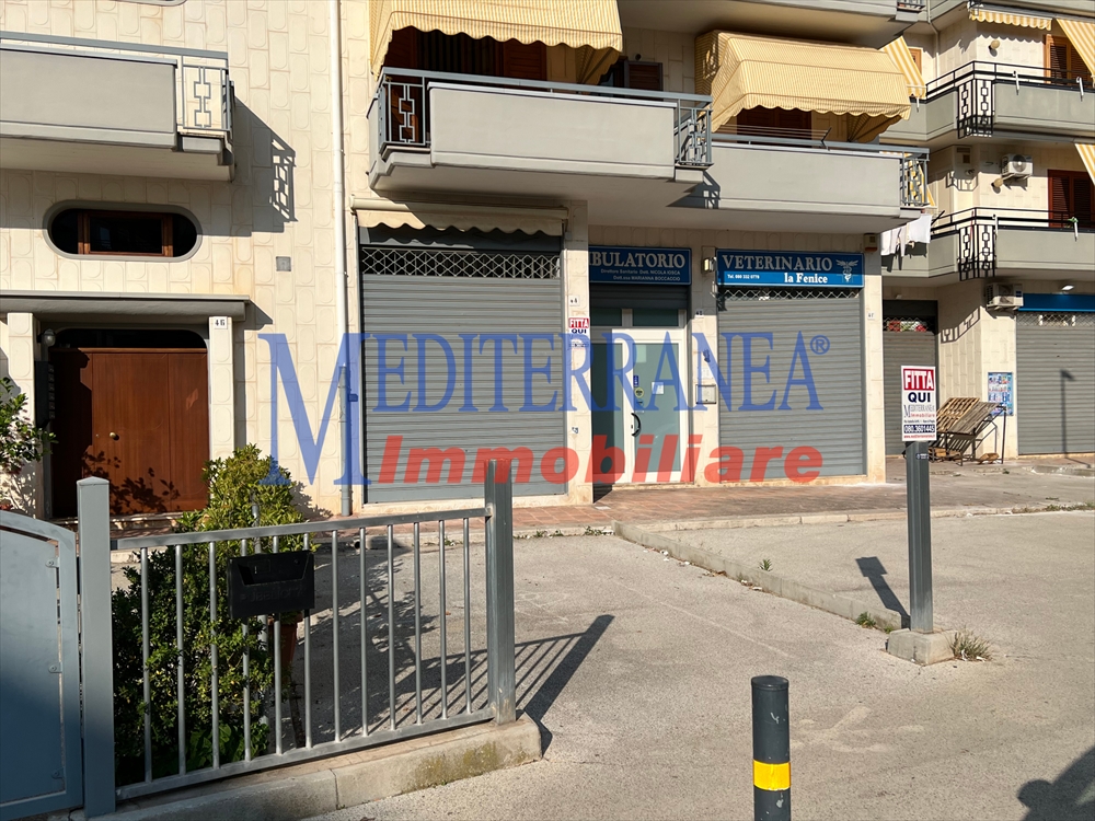 immagine annuncio 4 di 6