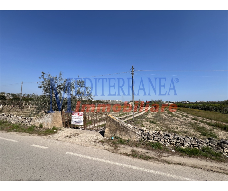Terreno in vendita, Ruvo di Puglia periferia