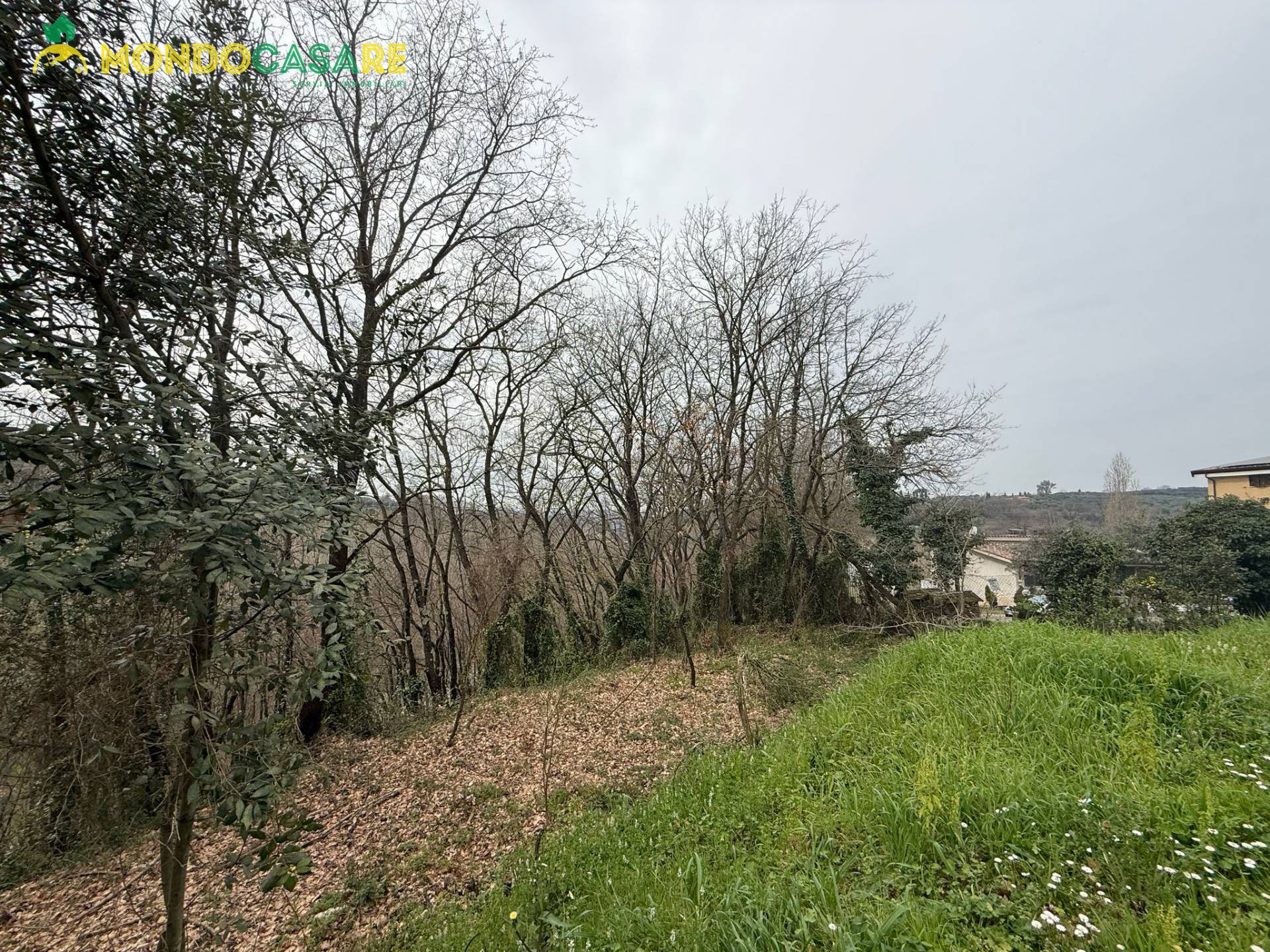 immagine annuncio 1 di 6