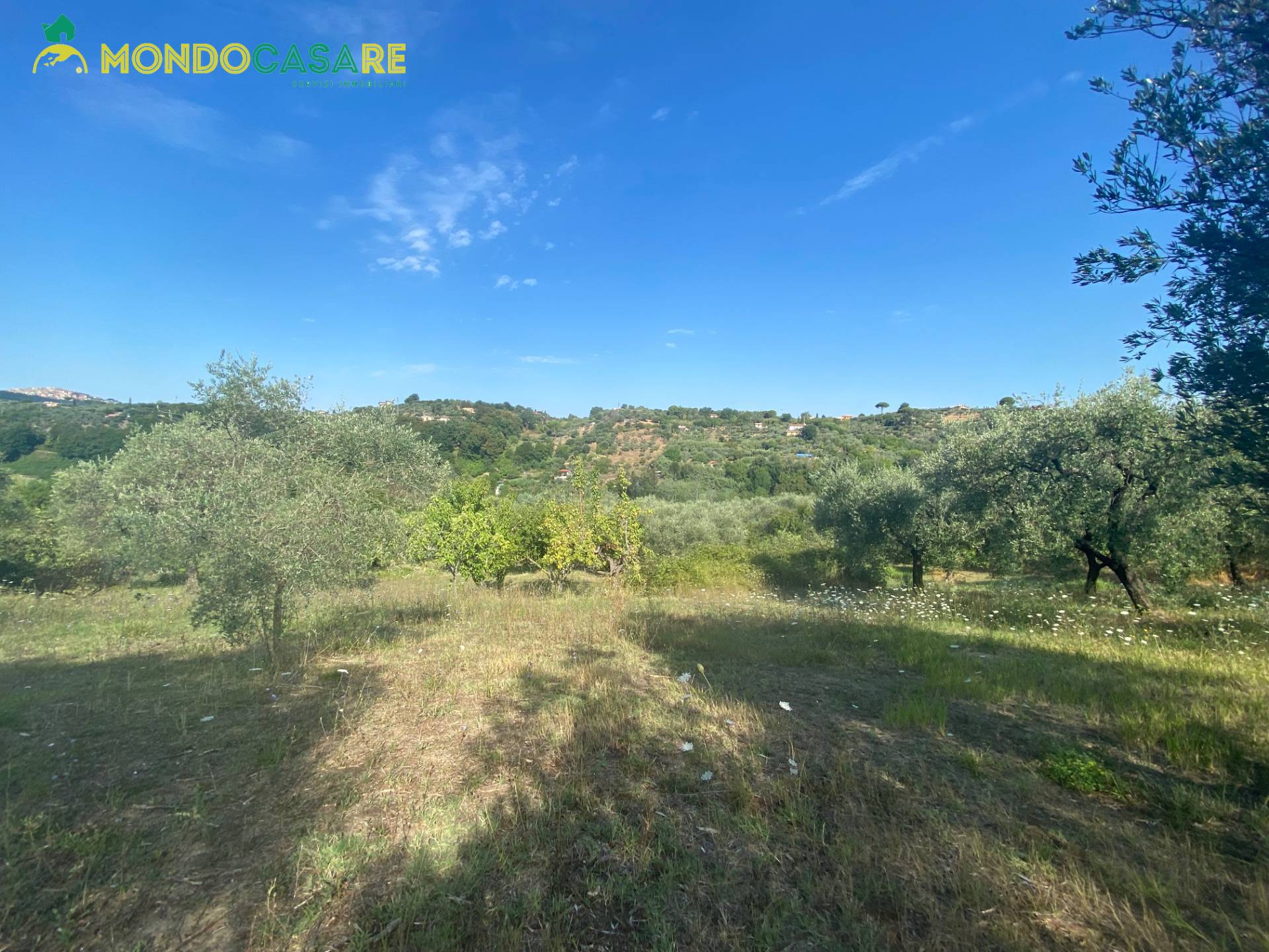 Terreno Agricolo in vendita a Palombara Sabina