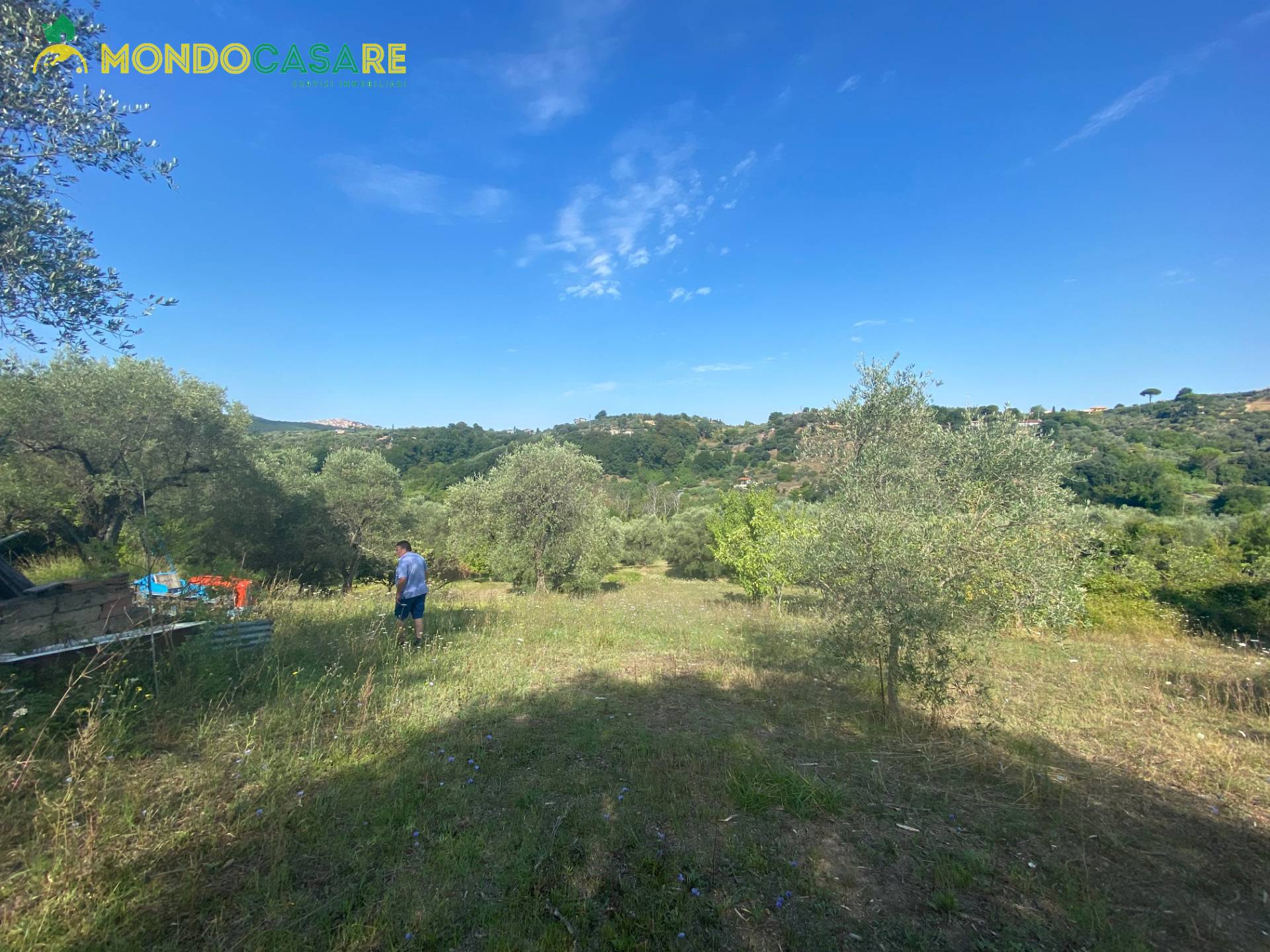 immagine annuncio 1 di 6