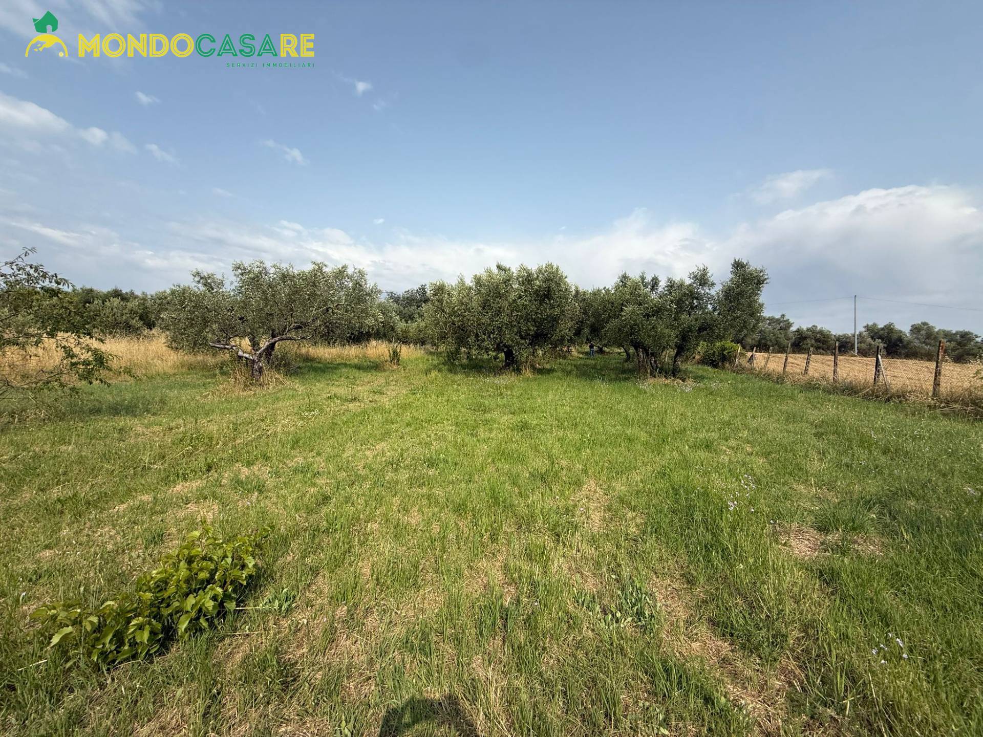 Terreno Agricolo in vendita a Guidonia Montecelio, Guidonia