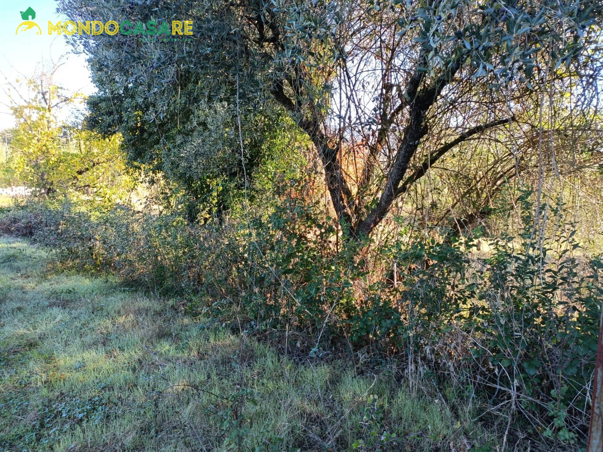 Terreno Agricolo in vendita a Palombara Sabina