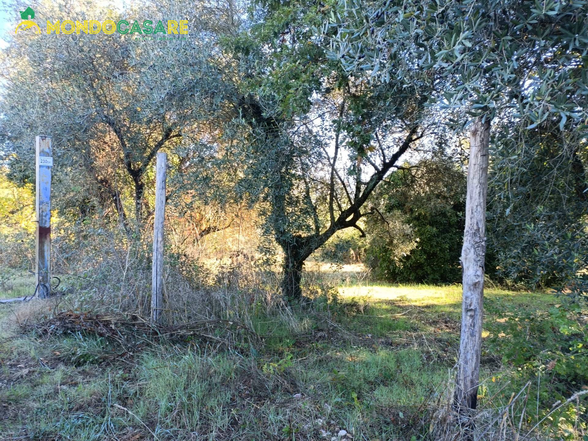 Terreno Agricolo in vendita a Palombara Sabina