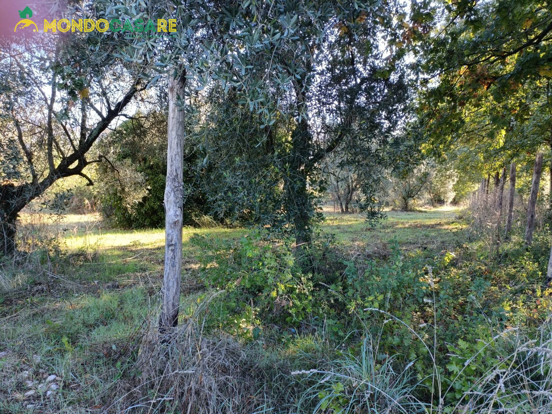 Terreno Agricolo in vendita a Palombara Sabina